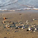 Daire In 51892 Bibione