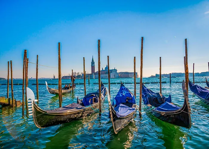 In 51892 Daire Bibione