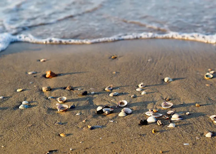 Apartmán In 51892 Bibione